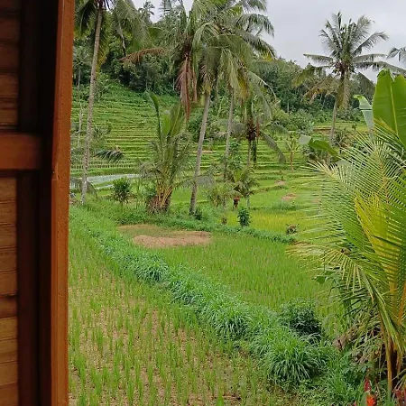 Lumbung Umaluah Villa