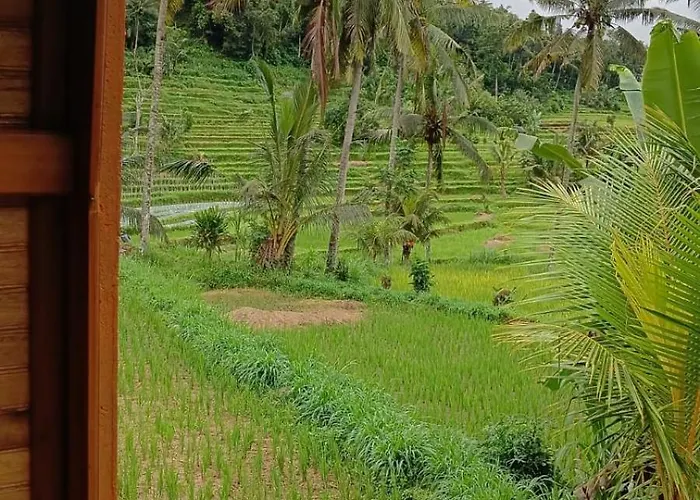 Hotel Lumbung Umaluah
